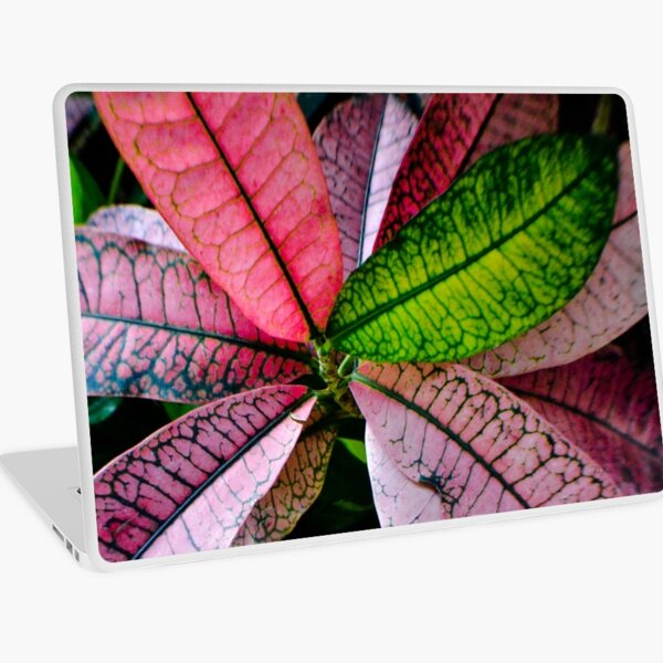 Colorful Abstract Botantical Leaves Photography Laptop Skin