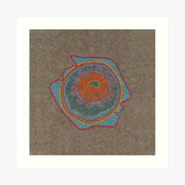Growing - Thuja - embroidery of plant cells Art Print