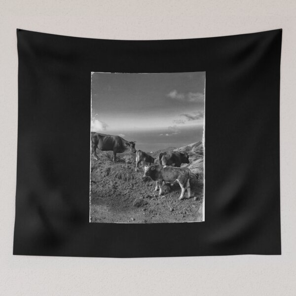 Item preview, FRAME YOUR COW-DS BNW 1 designed and sold by justyna-s28.