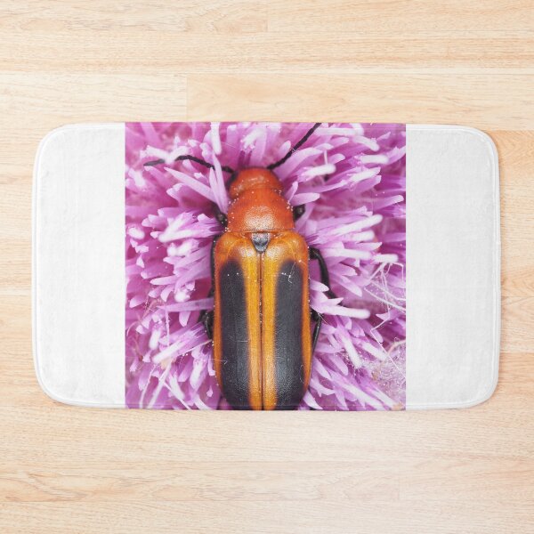 Item preview, Blister beetle in Florida, identified as Nemognatha piazata designed and sold by SDym Photography.