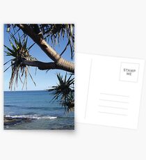 Pandanus 02 Postcards