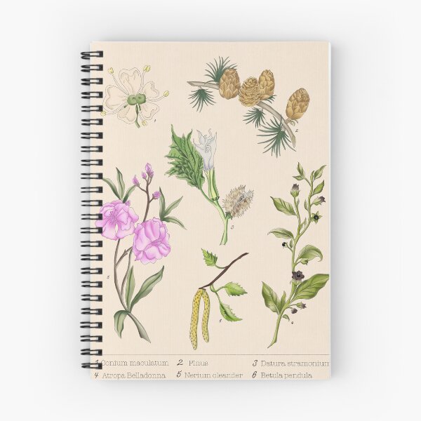 Item preview, Botanical Illustration designed and sold by rosecoloredj26.