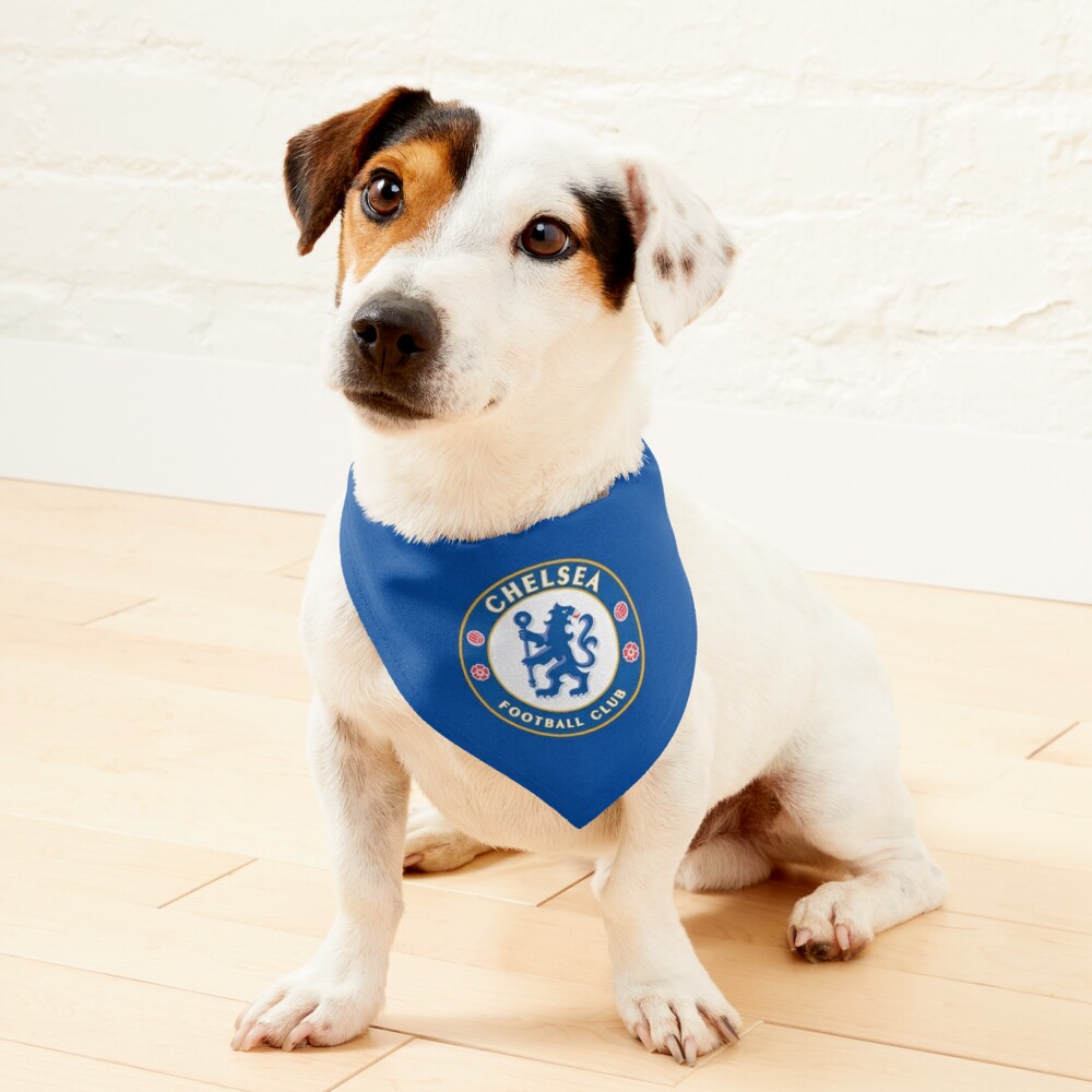 Chelsea Dog Shirt  Dog shirt, Dog football, Dog jumpers