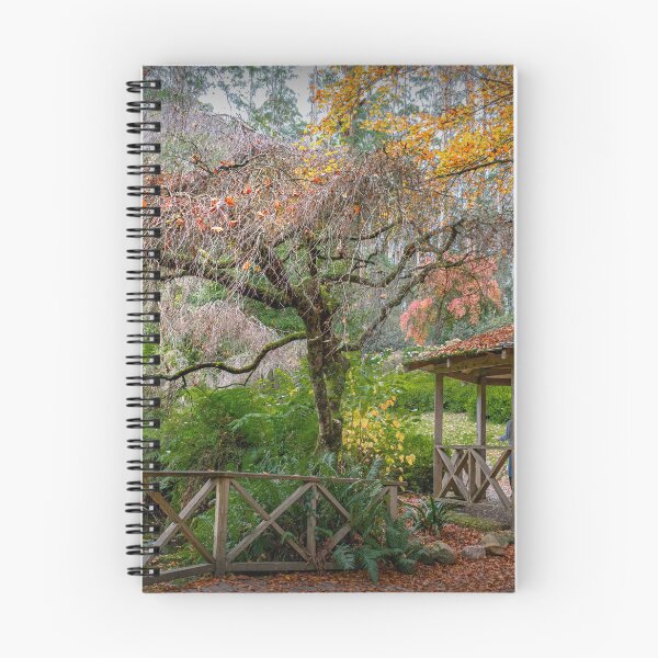 Aperçu de l'œuvre Jardins botaniques de Dandenong, Victoria créée et vendue par carol brandt.
