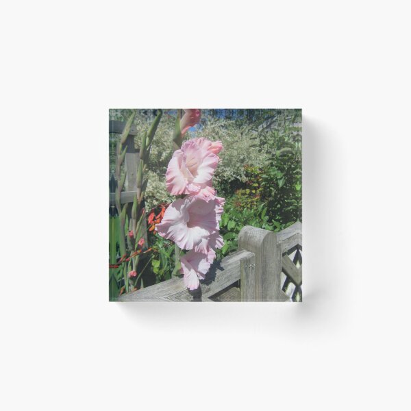 Item preview, Gladiolus In My Garden designed and sold by lezvee.