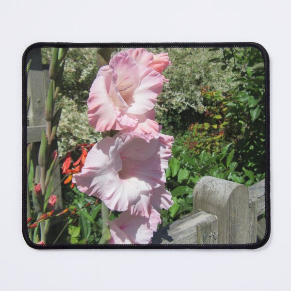 Item preview, Gladiolus In My Garden designed and sold by lezvee.