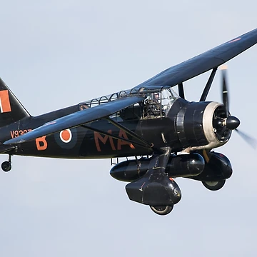 Artwork thumbnail, Lysander by Mike Rivett