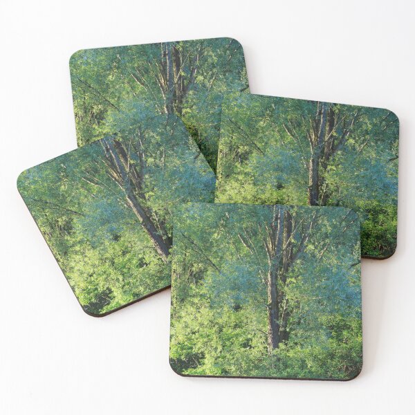 Item preview, SUMMER WOODLAND designed and sold by MIKESCOTT.