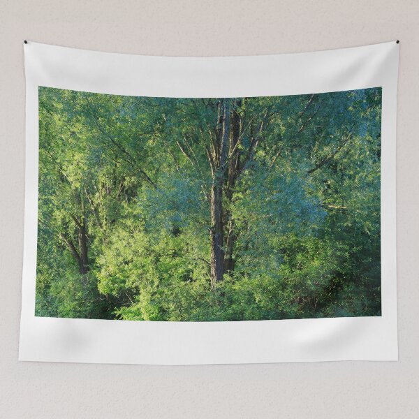 Item preview, SUMMER WOODLAND designed and sold by MIKESCOTT.