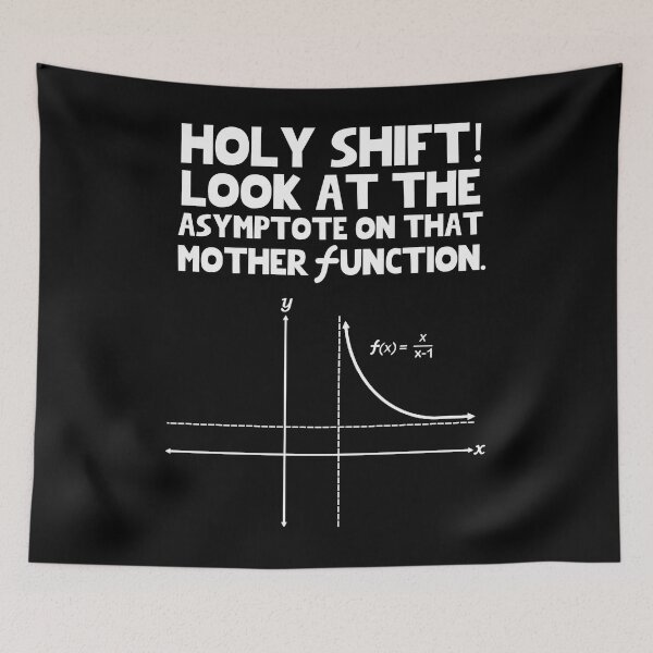 Item preview, Holy shift look at the asymptote on that mother function designed and sold by aranevzyctf71.