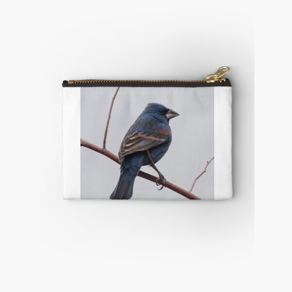 Item preview, Blue Grosbeak  designed and sold by barnsis.