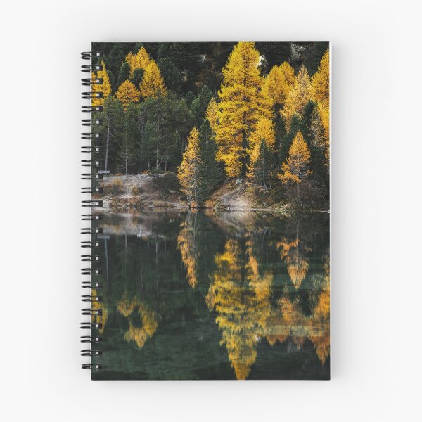 Item preview, Palpuogna Larch designed and sold by DiFigianoPhoto.