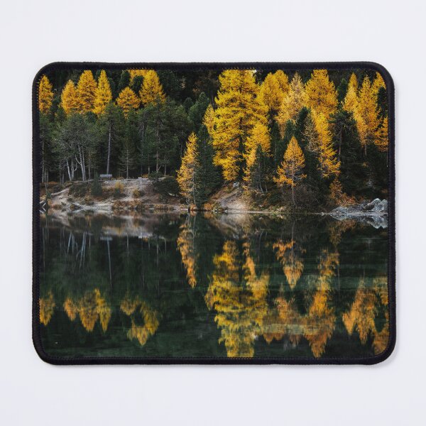 Item preview, Palpuogna Larch designed and sold by DiFigianoPhoto.