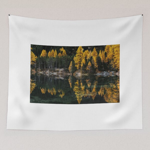 Item preview, Palpuogna Larch designed and sold by DiFigianoPhoto.