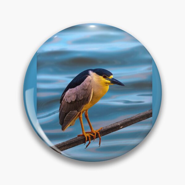 Aperçu de l'œuvre Oiseau créée et vendue par ° Salvan design °.