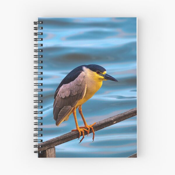 Aperçu de l'œuvre Oiseau créée et vendue par ° Salvan design °.