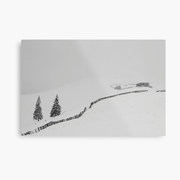 cold... Metal Print