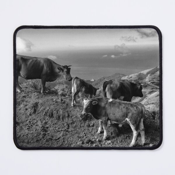 Item preview, FRAME YOUR COW-DS BNW 1 designed and sold by justyna-s28.