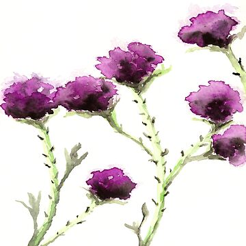 Artwork thumbnail, Milk Thistle by Brazen Edwards