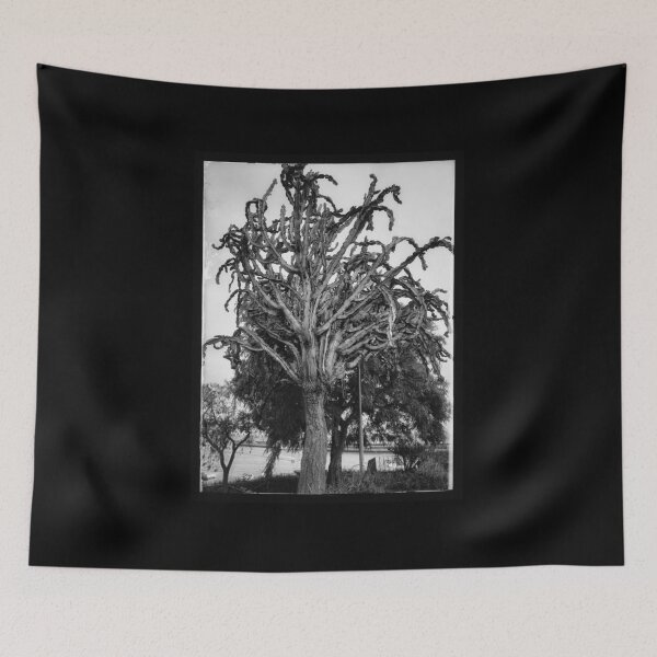 Item preview, FRAME YOUR CACTUS BNW 1 designed and sold by justyna-s28.