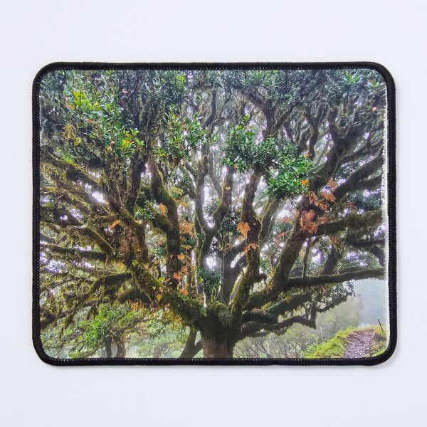 Item preview, FRAME YOUR TREE COLOUR 2 designed and sold by justyna-s28.
