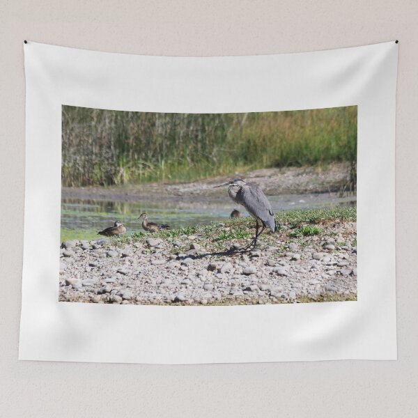Item preview, Great Blue Heron Crouching designed and sold by Alyce Taylor.