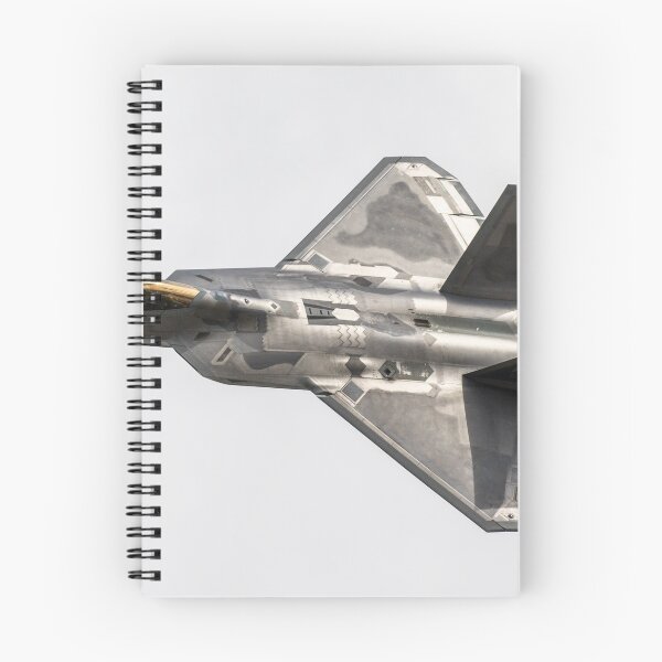 Aperçu de l'œuvre F22 - Raptor créée et vendue par Mike Rivett.
