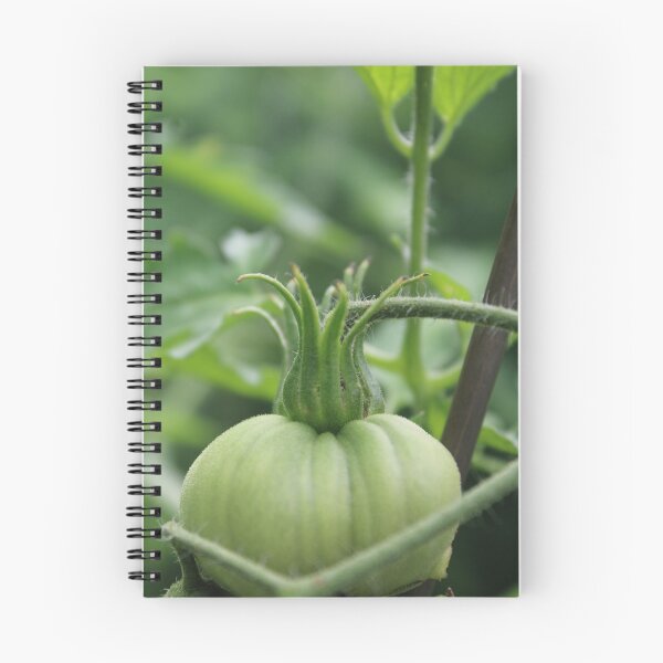 Item preview, Queen of Tomatoes  designed and sold by HeathersHope.