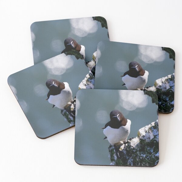 Item preview, Razorbill designed and sold by photobytableau.