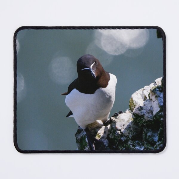 Item preview, Razorbill designed and sold by photobytableau.