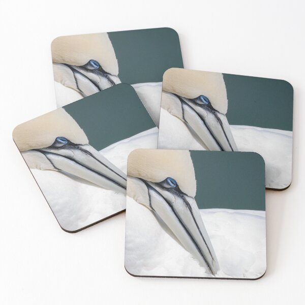 Item preview, Gannet designed and sold by photobytableau.
