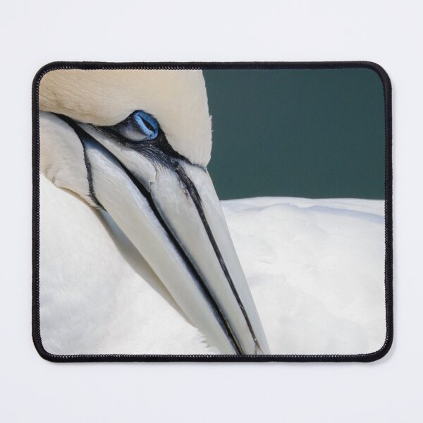 Item preview, Gannet designed and sold by photobytableau.