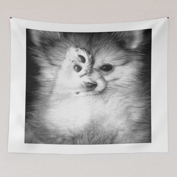 Item preview, Vogue Pomeranian  designed and sold by timeslides.