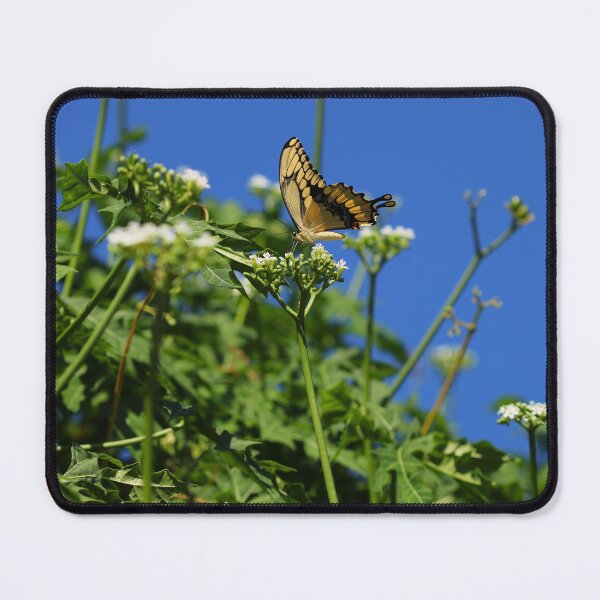 Item preview, An Unprecedented Choice  designed and sold by Michiale.
