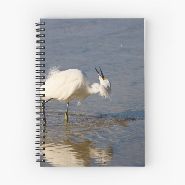 Item preview, Unpredictable Lives designed and sold by Michiale.