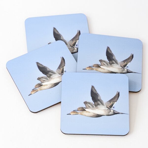 Item preview, Pair of Pintails in Flight designed and sold by Eleu Tabares.
