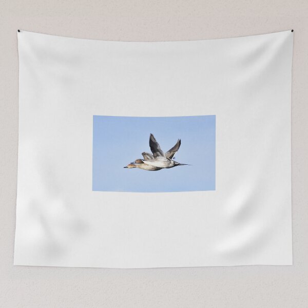 Item preview, Pair of Pintails in Flight designed and sold by Eleu Tabares.