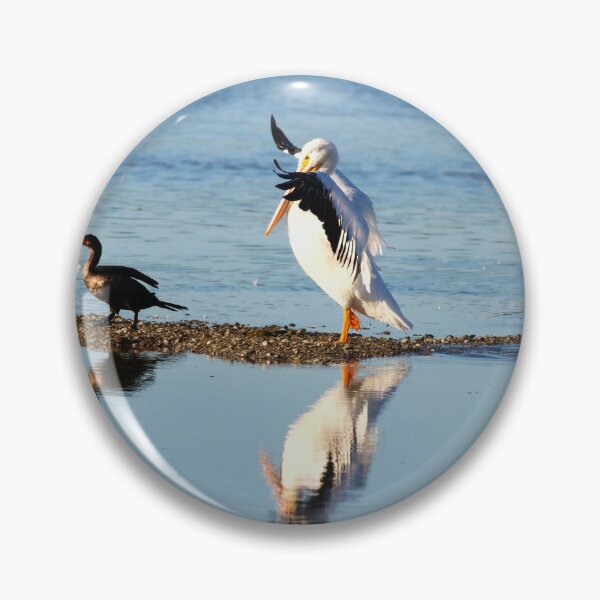 Item preview, A Display of Indignation designed and sold by Michiale.