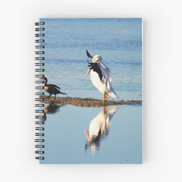 Item preview, A Display of Indignation designed and sold by Michiale.