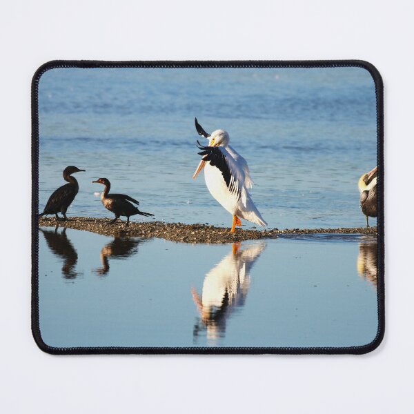 Item preview, A Display of Indignation designed and sold by Michiale.