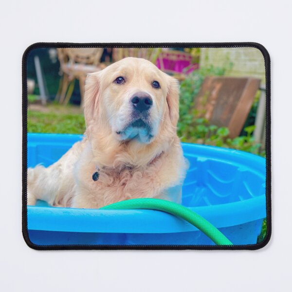 Item preview, Golden retriever in baby pool designed and sold by SunBearBooks.