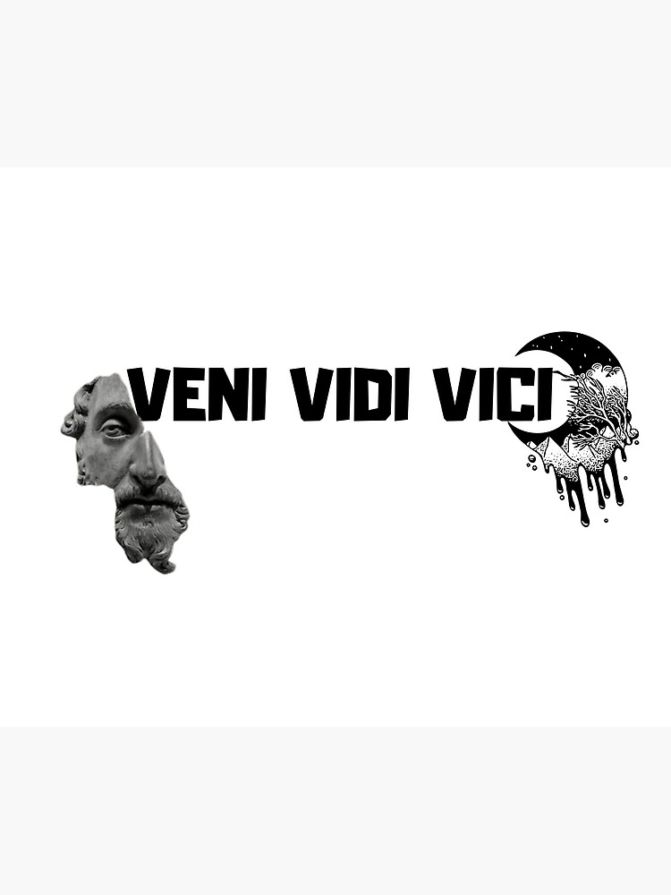 Vini Vici - Veni Vidi Vici 