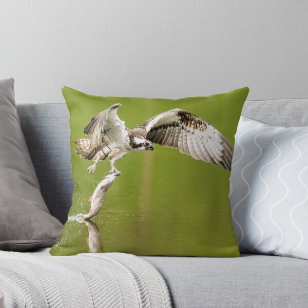 Item preview, Osprey designed and sold by kt-photography.