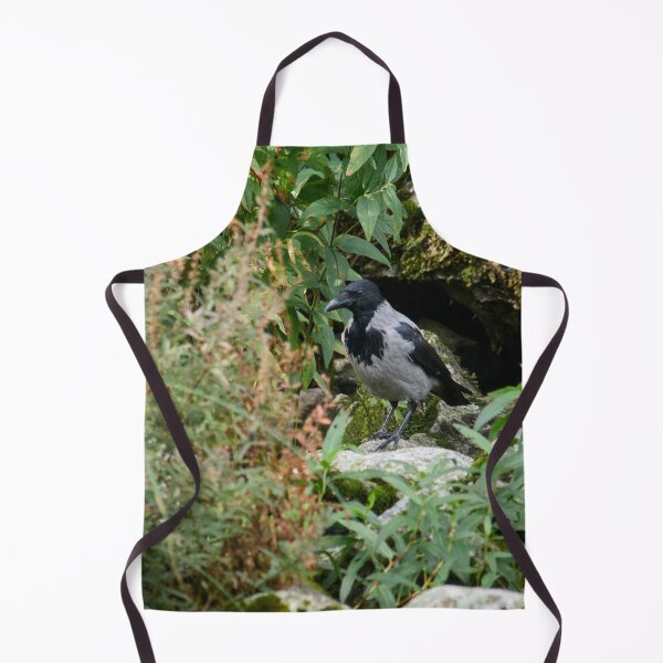 Item preview, Secret place to be. Hooded crow designed and sold by Jouko Lehto Photography.