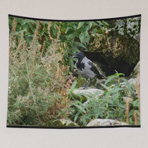 Item preview, Secret place to be. Hooded crow designed and sold by Jouko Lehto Photography.