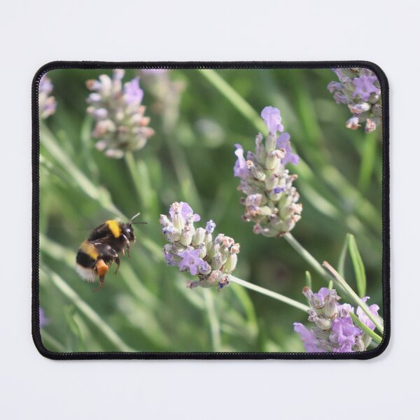 Item preview, Hovering bumble bee designed and sold by FallenTrickster.