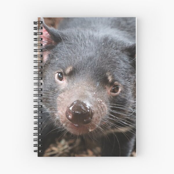 Item preview, Tasmanian devil designed and sold by FallenTrickster.