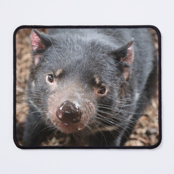 Item preview, Tasmanian devil designed and sold by FallenTrickster.