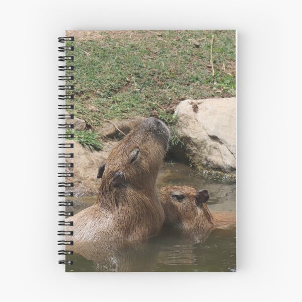 Item preview, Capybaras designed and sold by FallenTrickster.