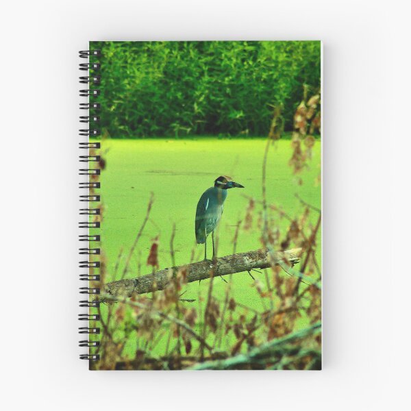 Item preview, Yellow-Crowned Night Heron  designed and sold by HisRuin.